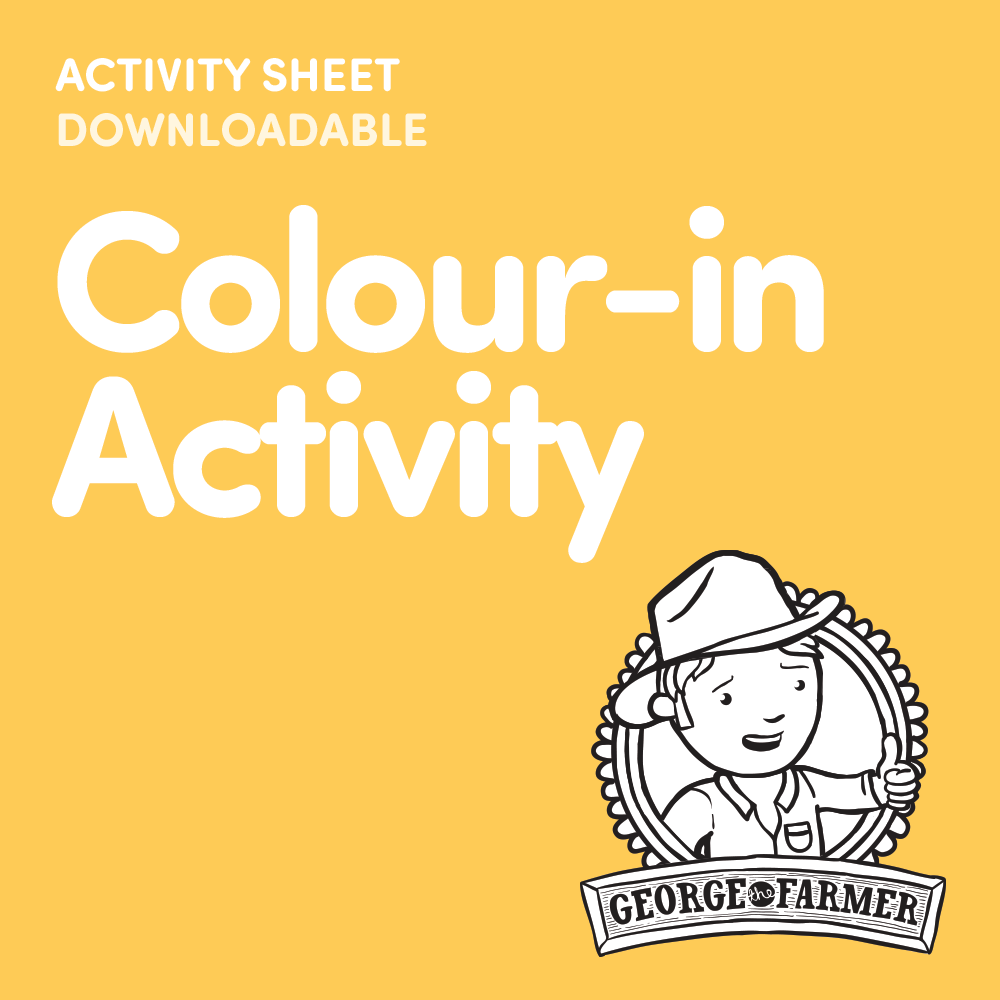 Colour In Activity