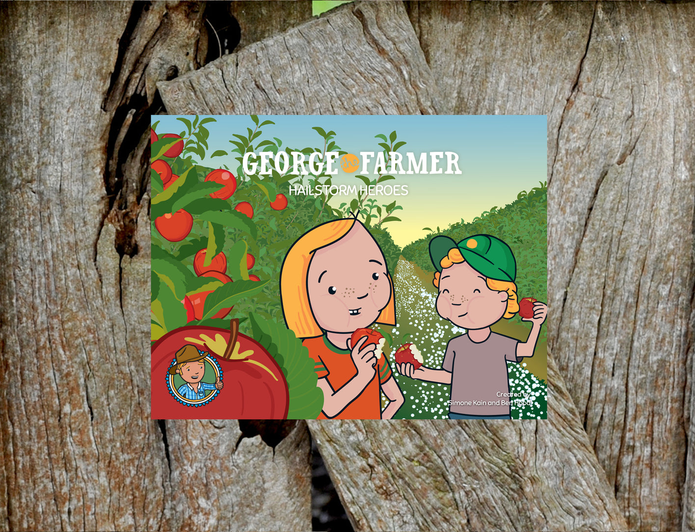 George the Farmer Hailstorm Heroes Picture Book