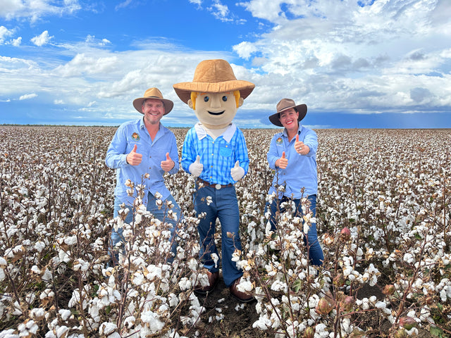 NEW! Cotton Resources: Videos and Curriculum-aligned Educators Resources