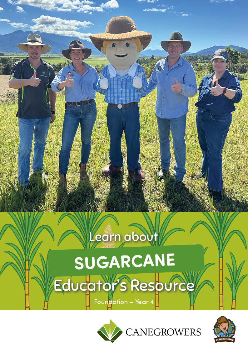 Sugarcane