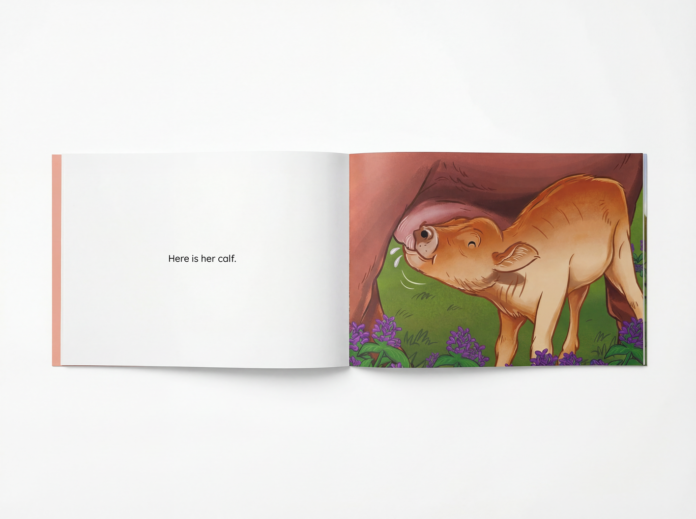 I Can Read - Animal Offspring (Level 3-4)