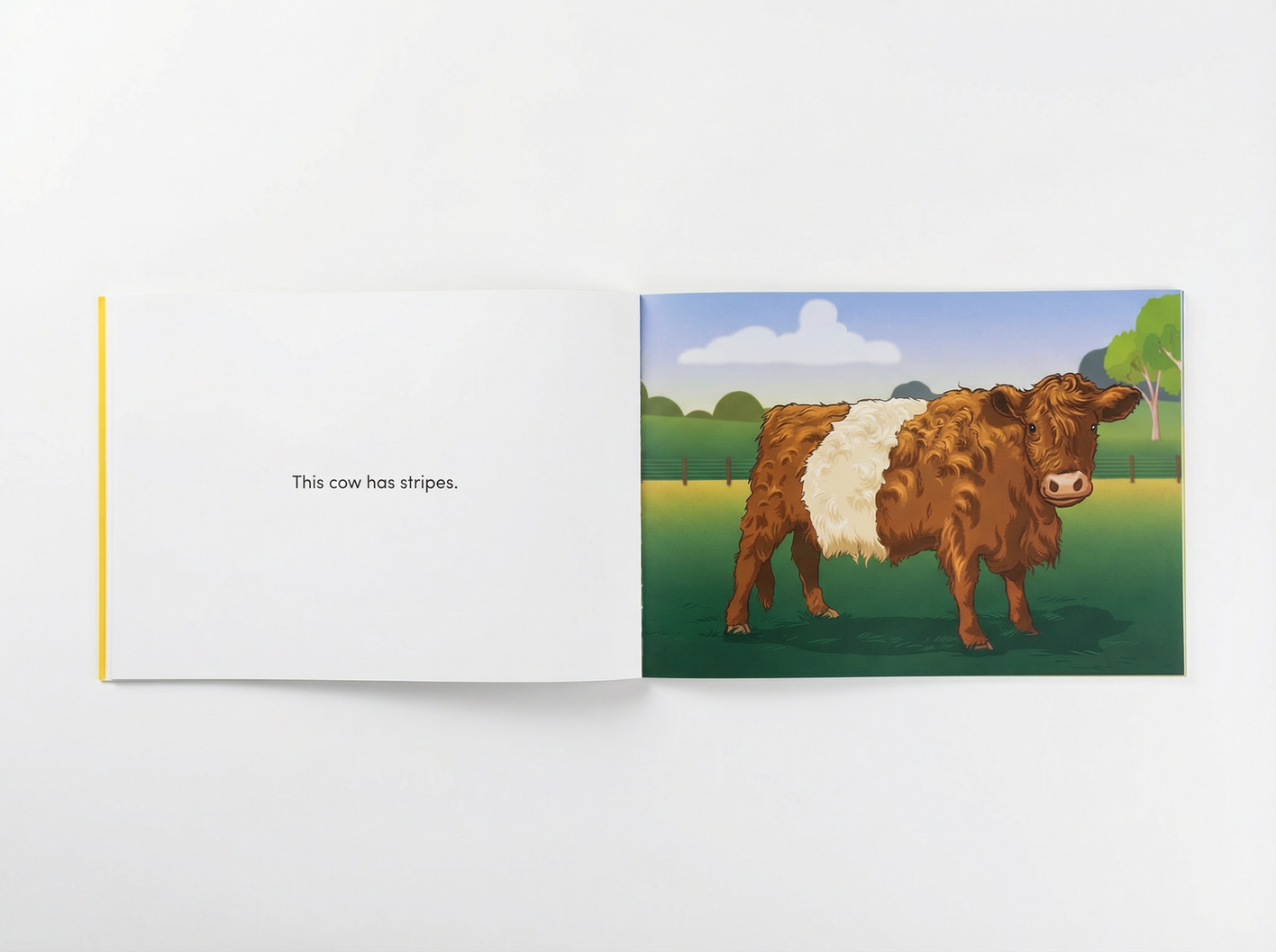 I Can Read - My First Reader 8 Book Bundle