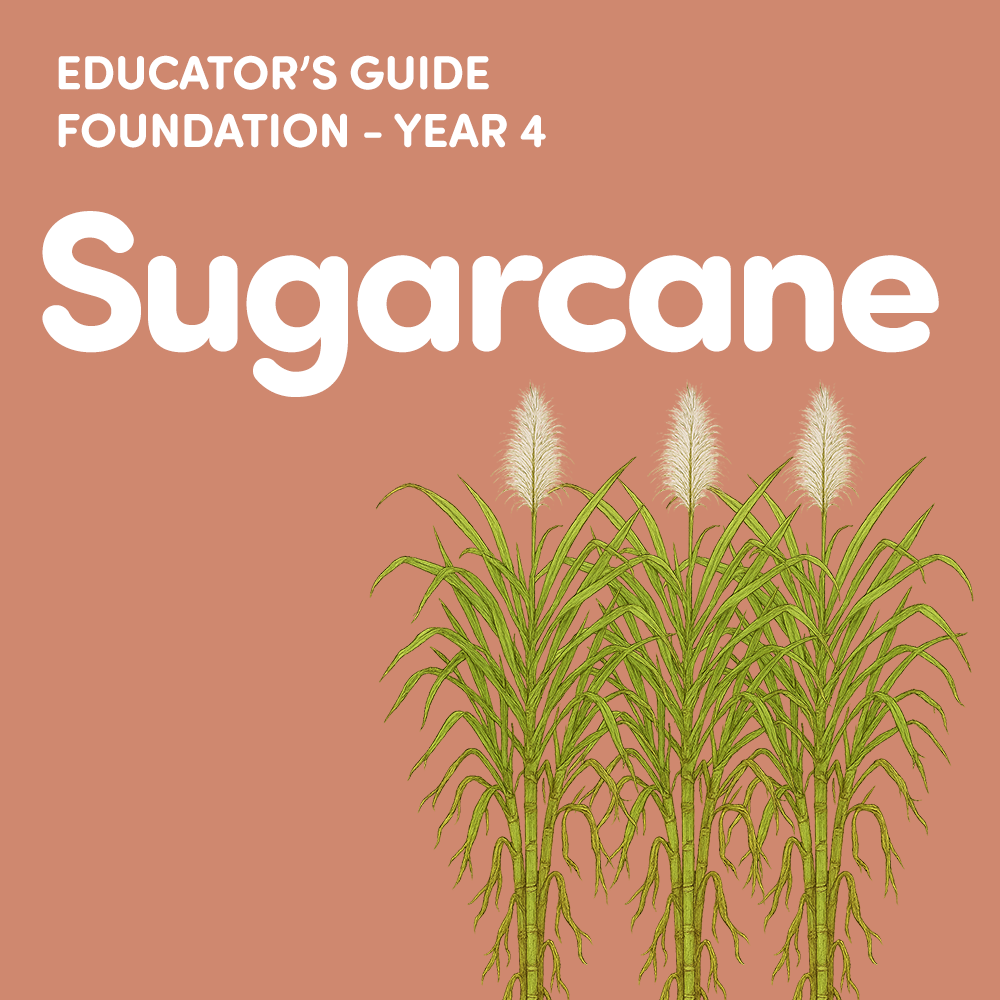 Teacher's Guides